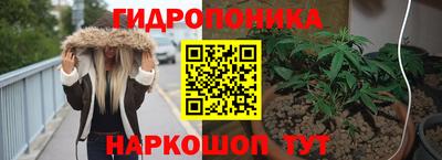 кокс Тара