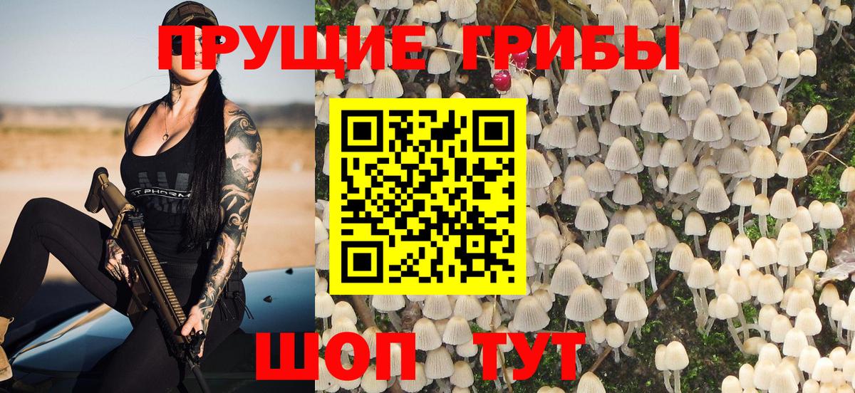 Зерноград  Галлюциногенные грибы GOLDEN TEACHER  Псилоцибиновые грибы прущие грибы  Вход с VPN 
